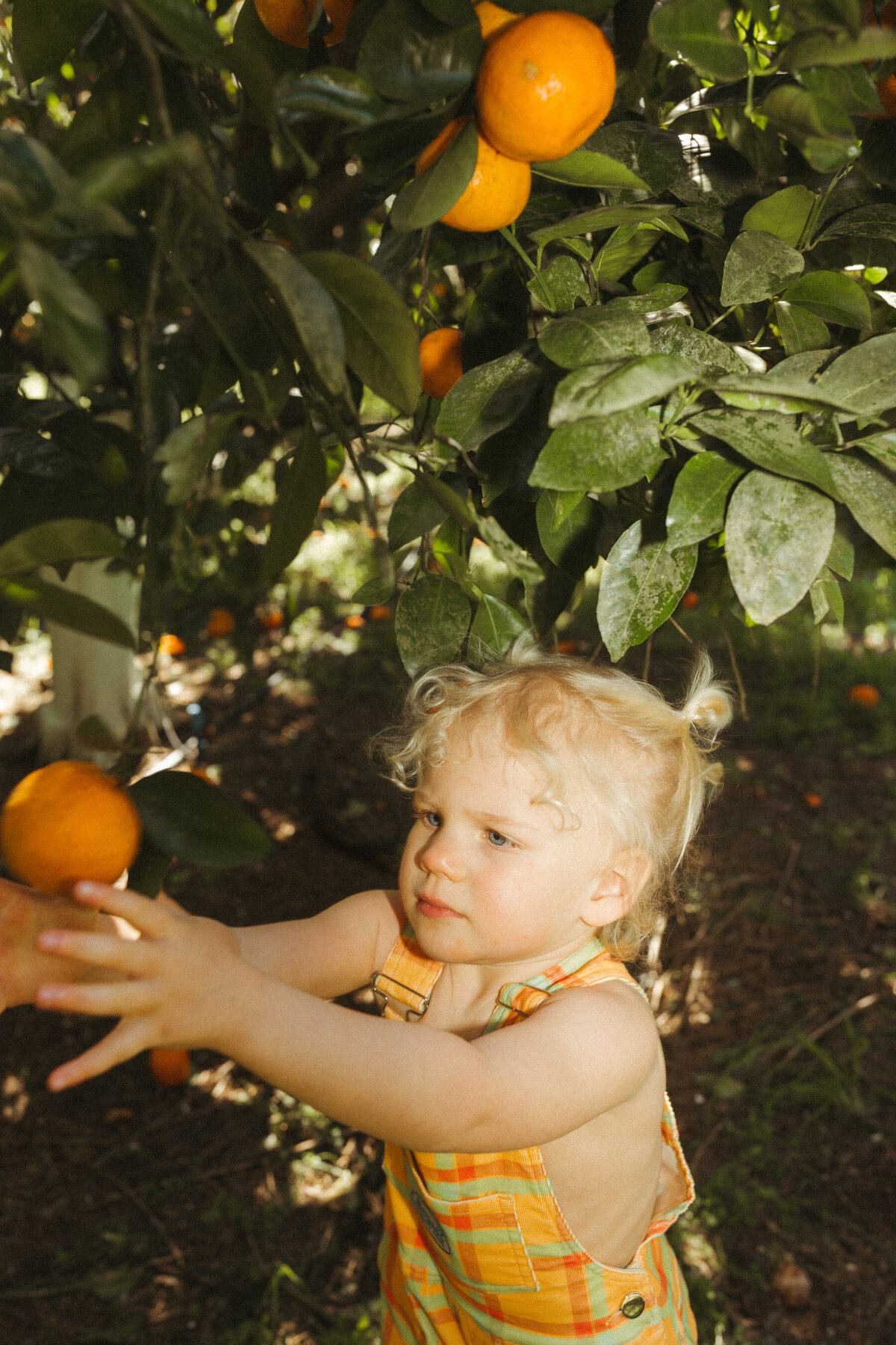 emmawandphotography_skaterfamily_stanwellparkphotography_southcoastphotographer_sydneyfamilyphotographer_wollongongfamilyphotographer_cronullafamilyphotographer_-3
