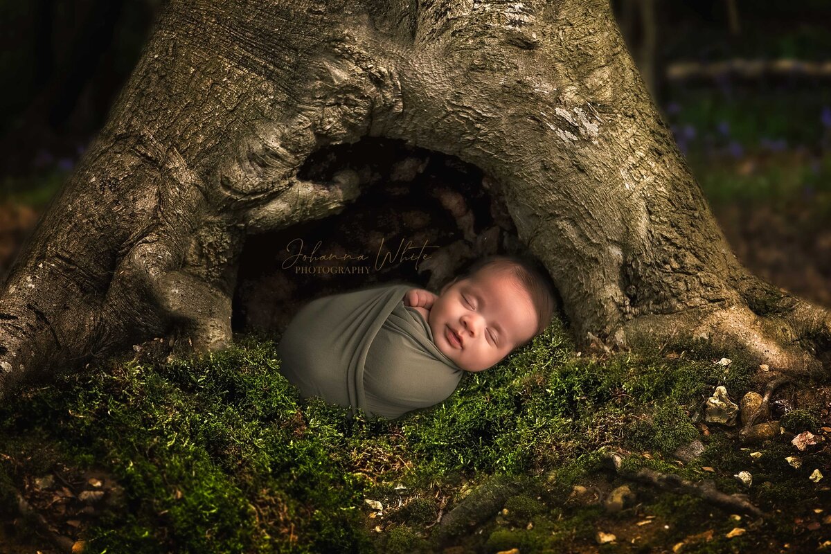 Baby Boy in a Tree Hollow