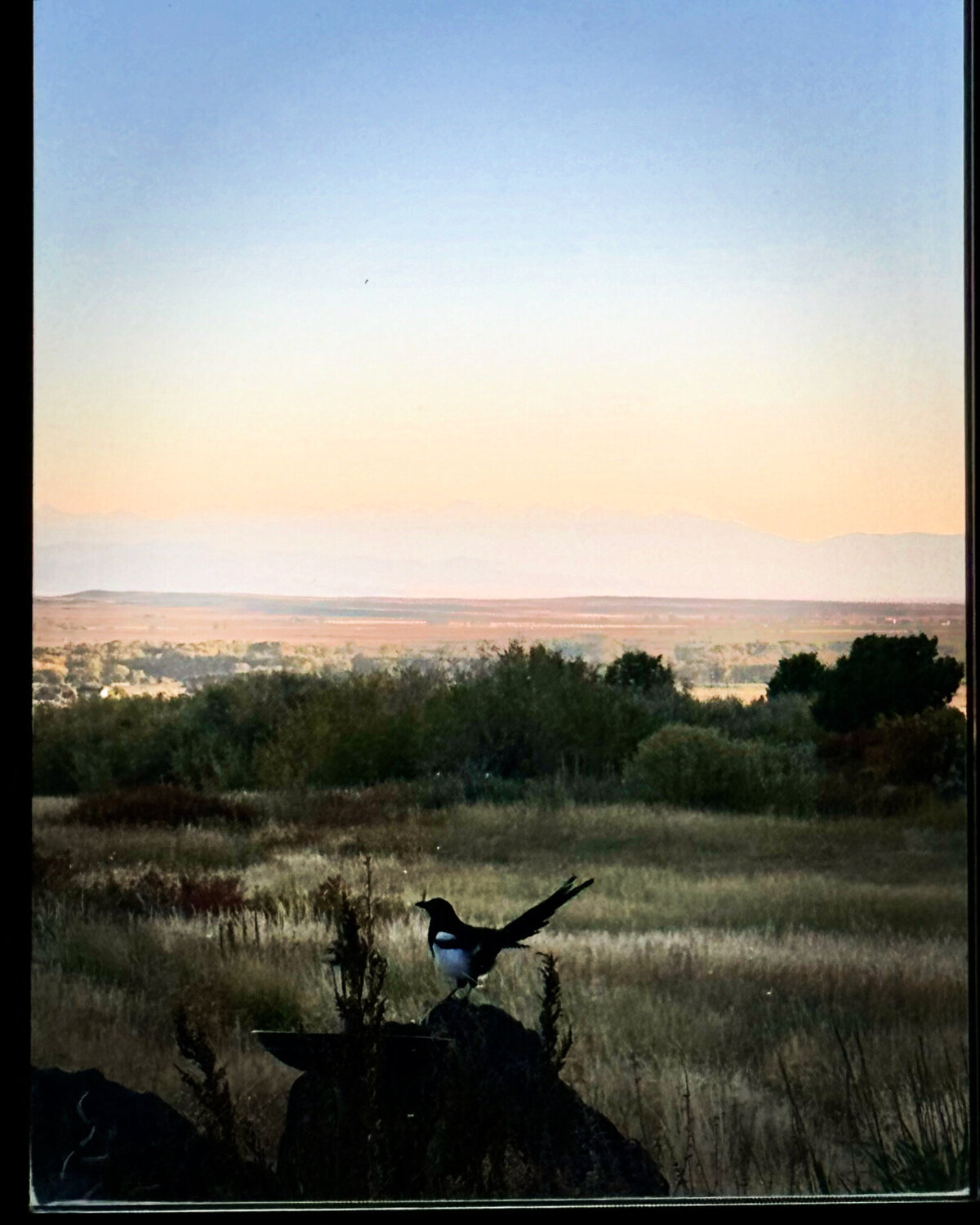 3E712D1E-EA1D-4F0F-9732-E73CDC271C44