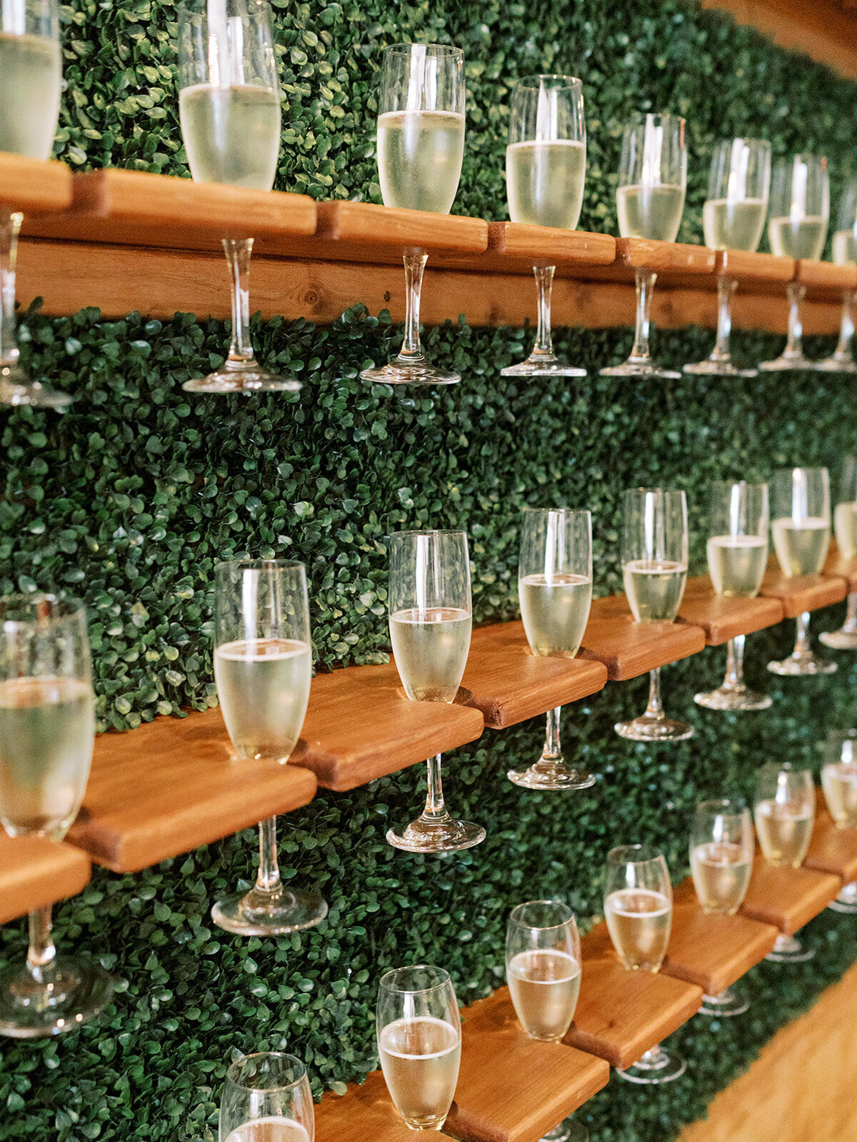 Virginia Wedding Photographer Natalie Jayne Photography-00924