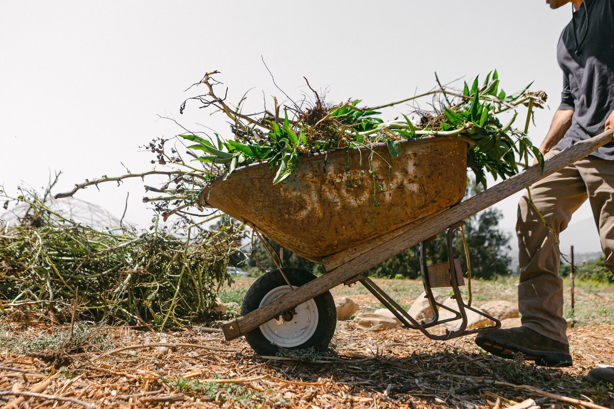 The-Ripe-Org-Farm-Ventura-California-Santa-Paula-Non-Profit-0049