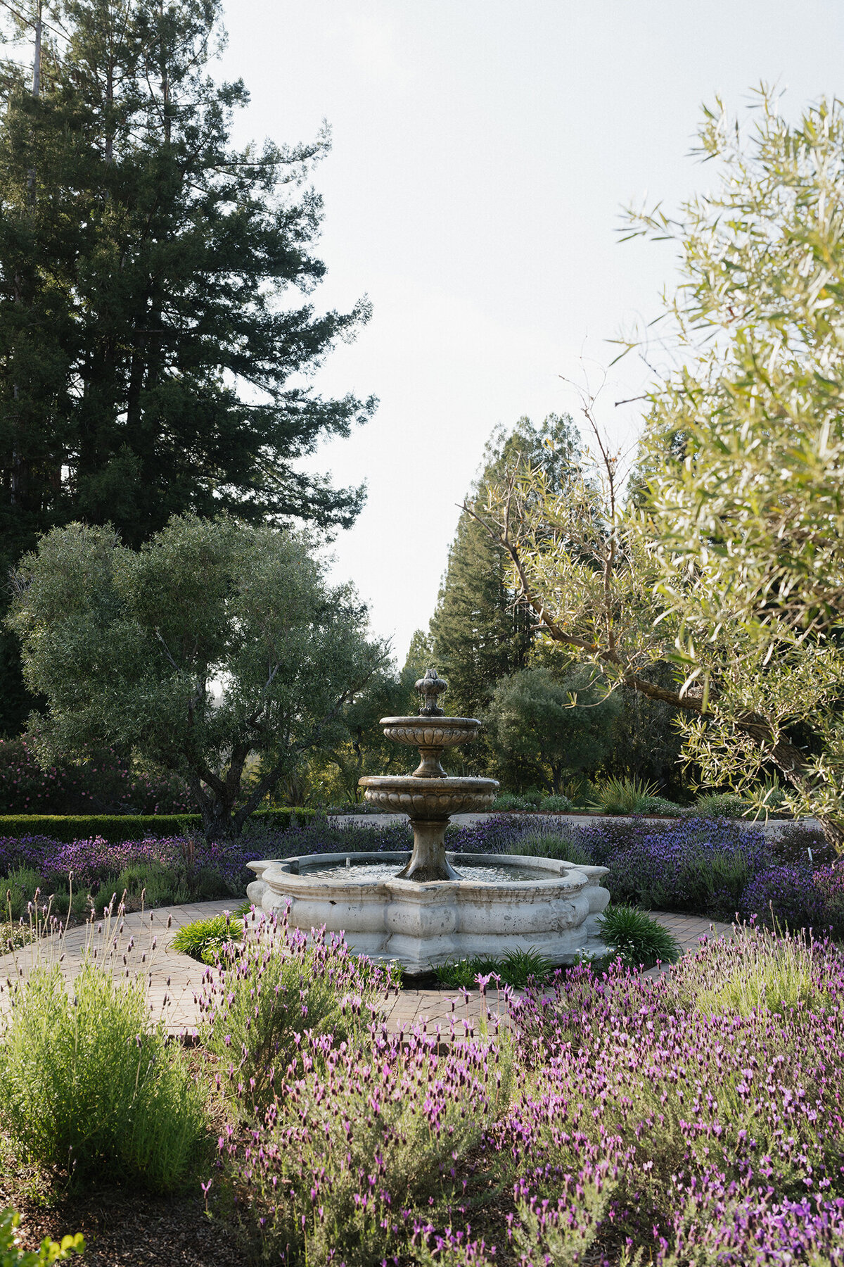 aveline-santa-cruz-wedding-elegant-muslim-alyssa-deome-35