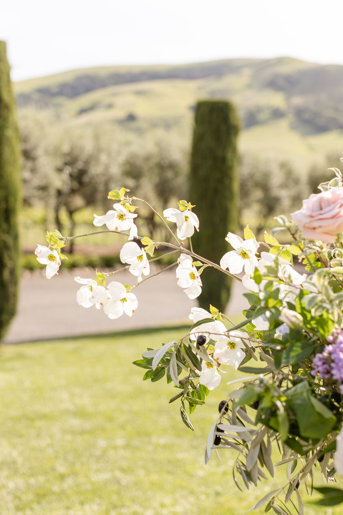 Viansa Sonoma Wedding(3)