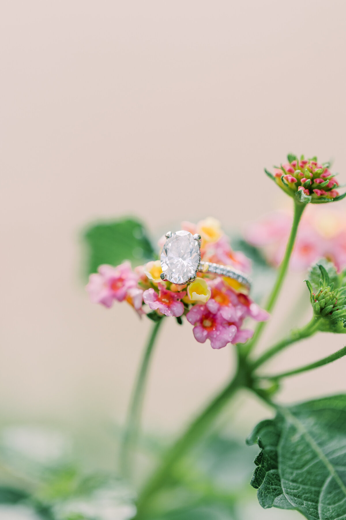 Diamond engagement ring sitting on pink flowers