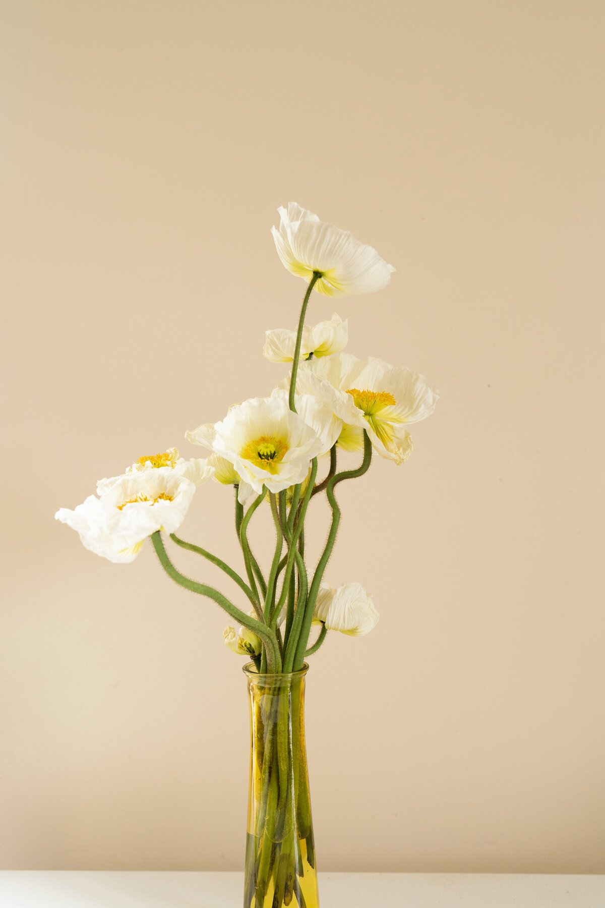 zoe-schaeffer-V_MV68oW3FE-unsplash