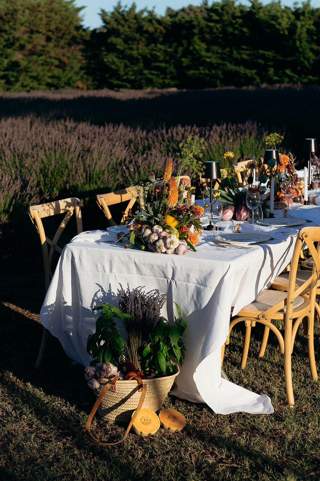 retourdemarche_frenchkisswedding_cleyaasulon-5916