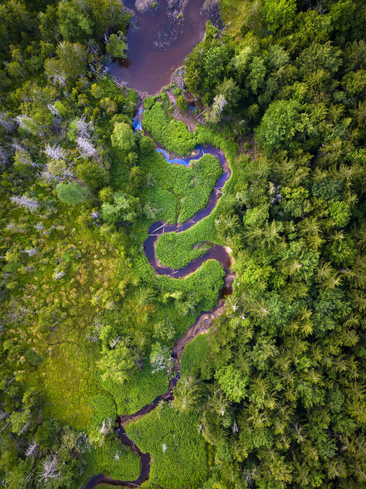 Highland brook