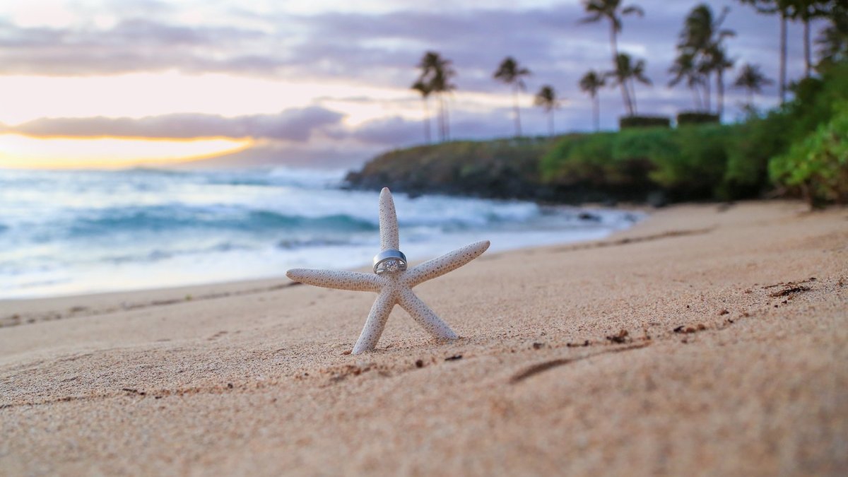 Capture Aloha Photography at The Westin Maui Resort and Spa With standing white Starfish