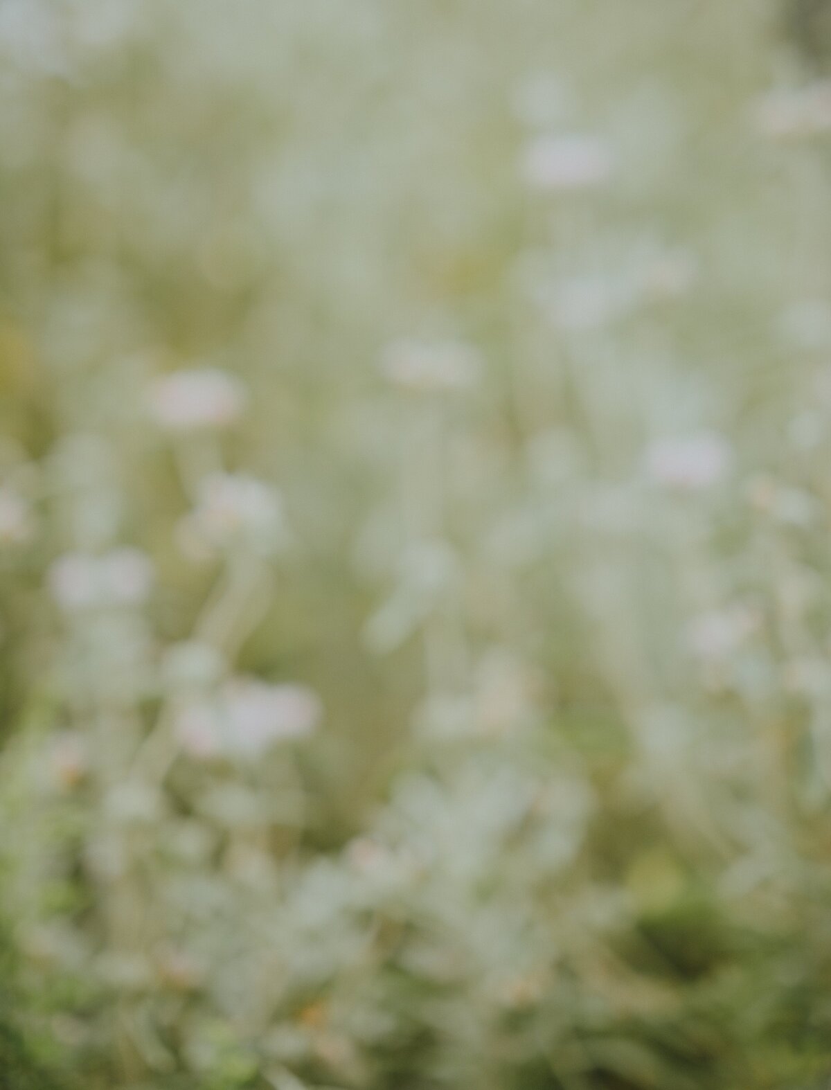 annie-spratt-WIrdnp0_MBo-unsplash