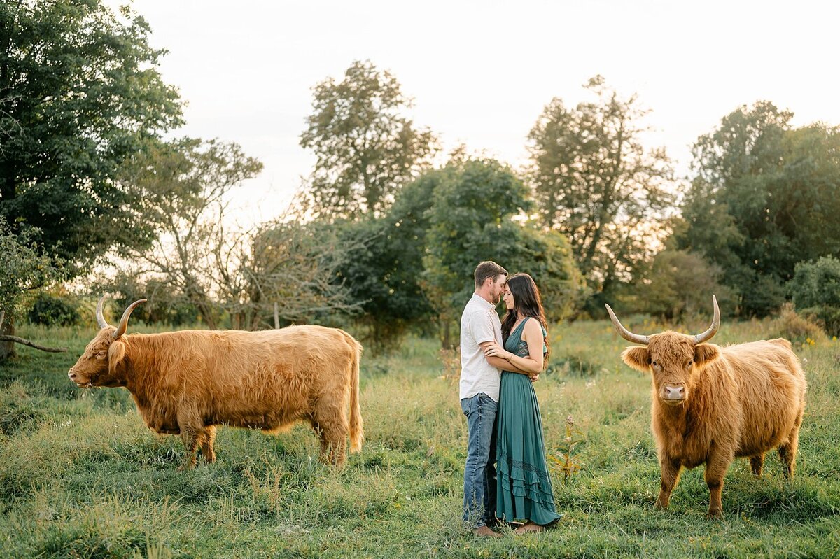 Portraits by Samantha on her family farm with her Highland cows.