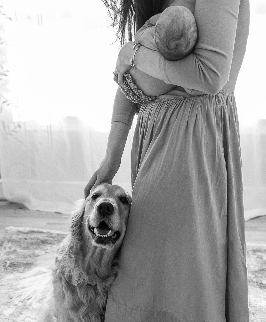 Zoe Hale Newborn 2024-8453