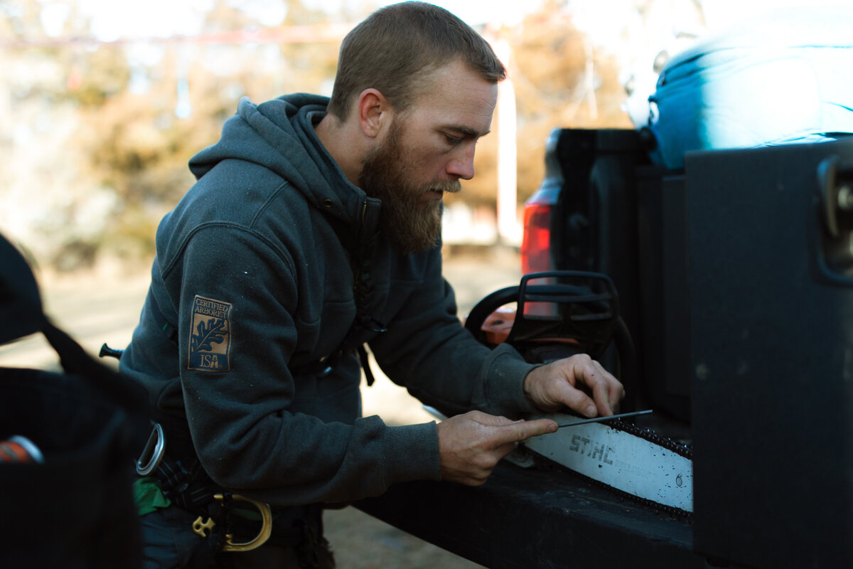 residential-tree-service-summerset-south-dakota