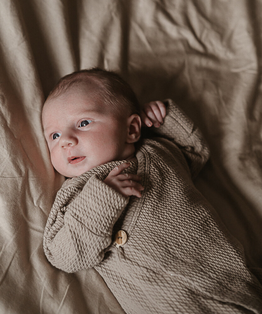 newbornshoot
