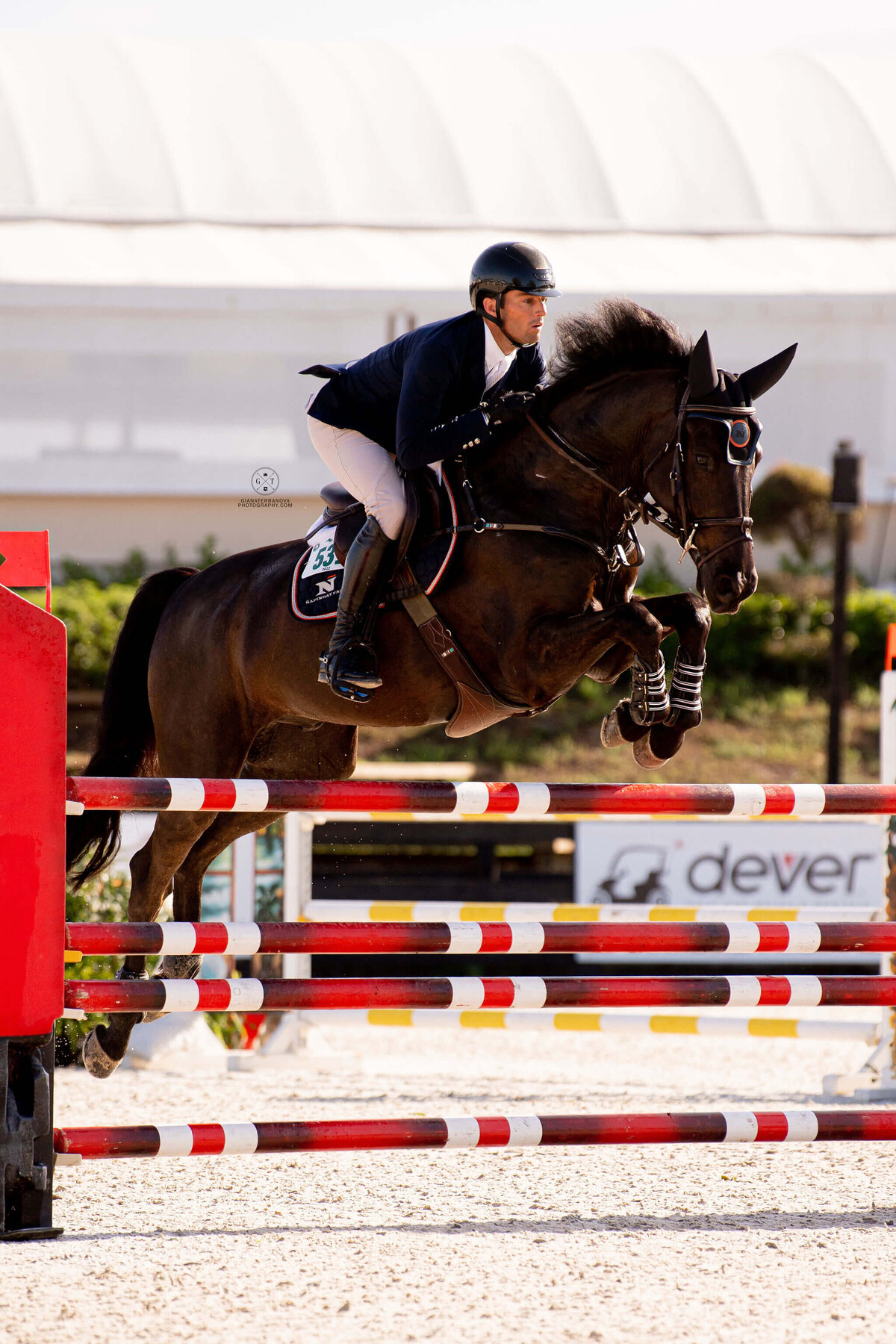 TRAVERSE CITY SHOWJUMPING TEAM, MICHIGAN EQUESTRIAN TEAM(2)