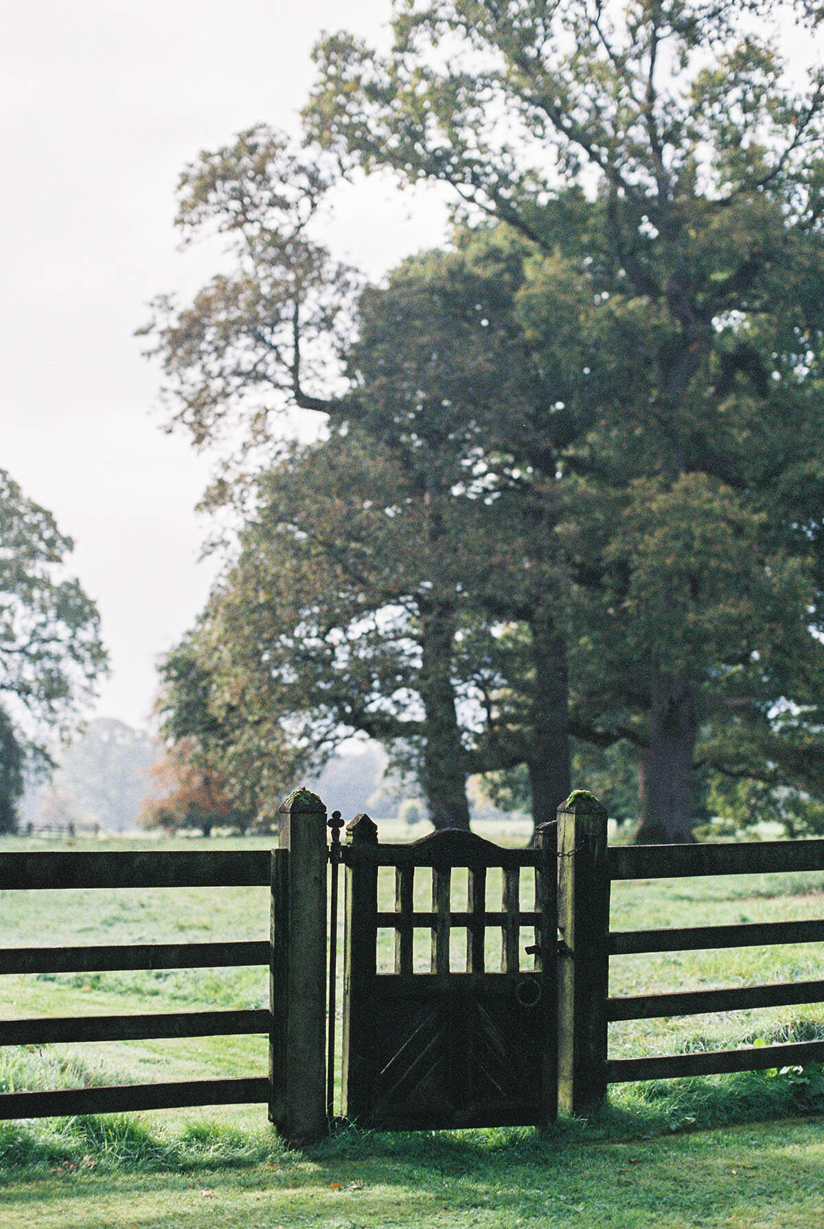 Michelle Norwood Living - Luxury Travel Inspiration - Ireland - Ashley_Ludaescher_Engage_Ireland-0003