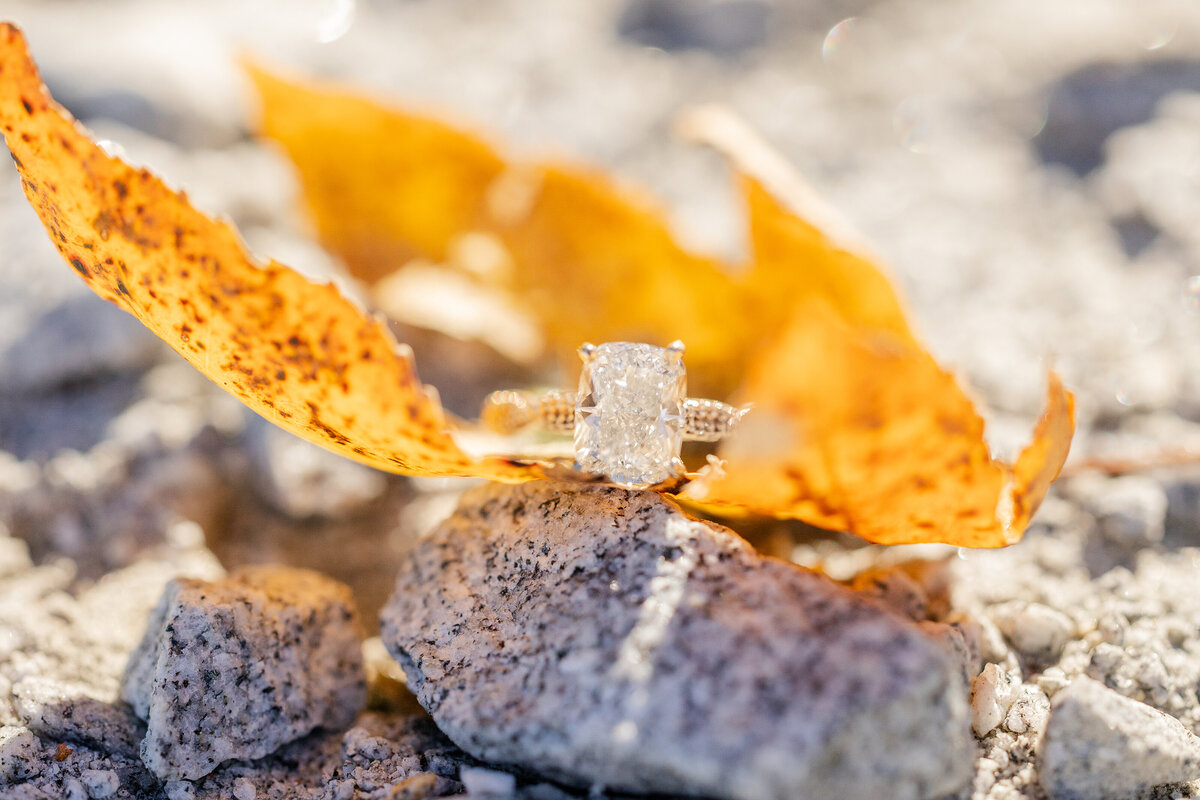 H+B Engagment-9