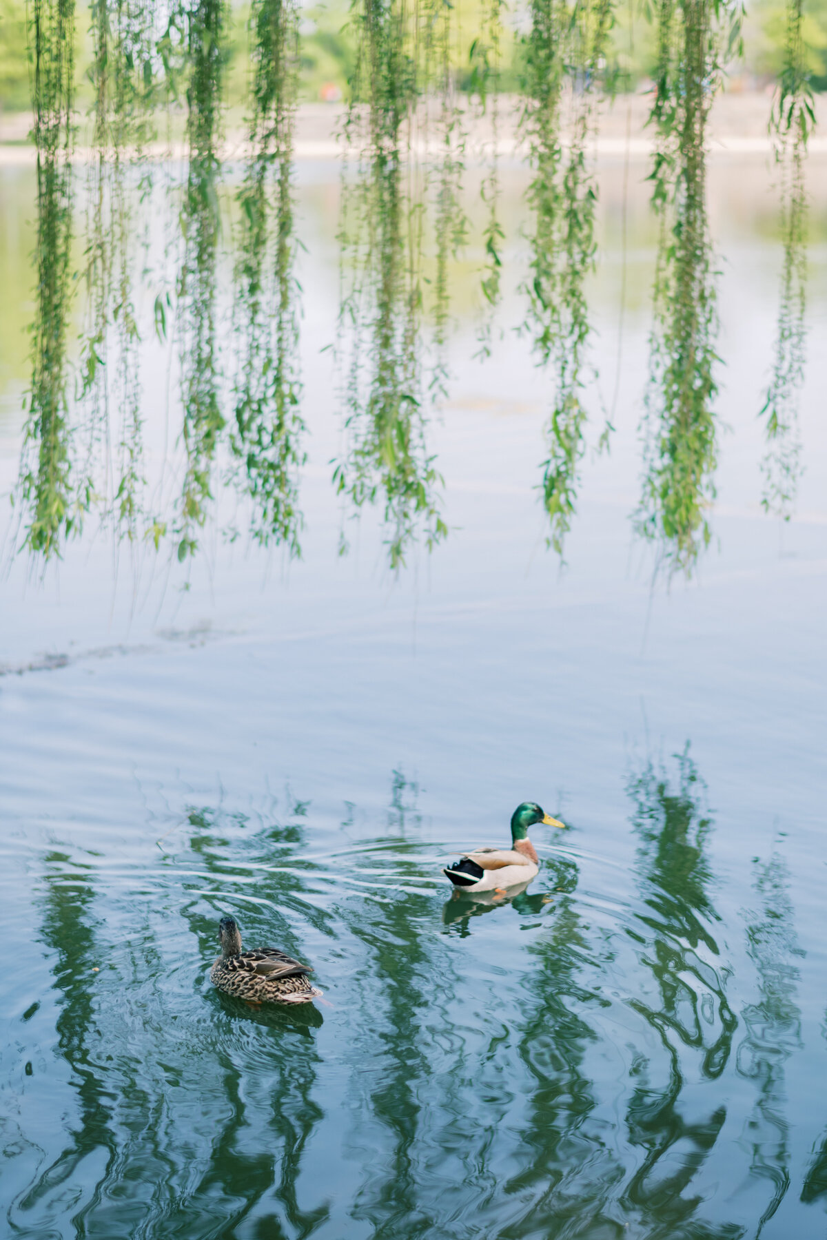 Amanda-Wose-Photography-33
