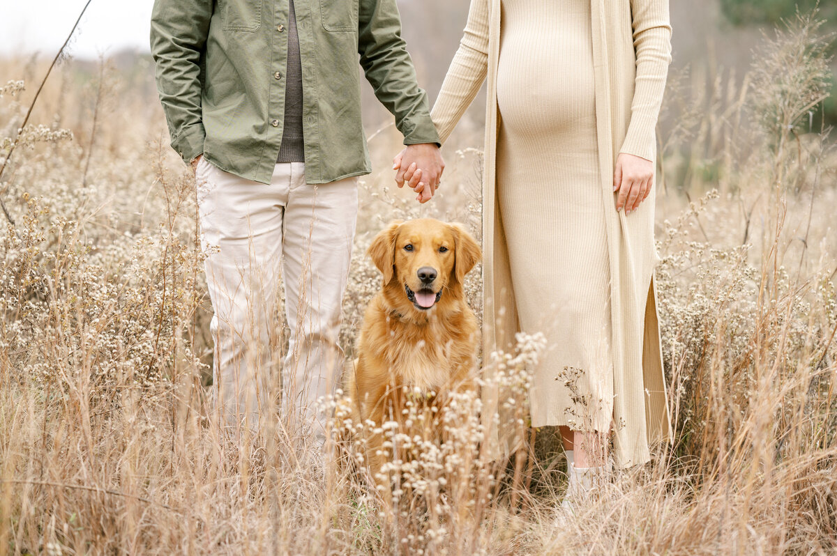Expecting parents hold hands with golden retriever dog in between during maternity photo shoot in Raleigh