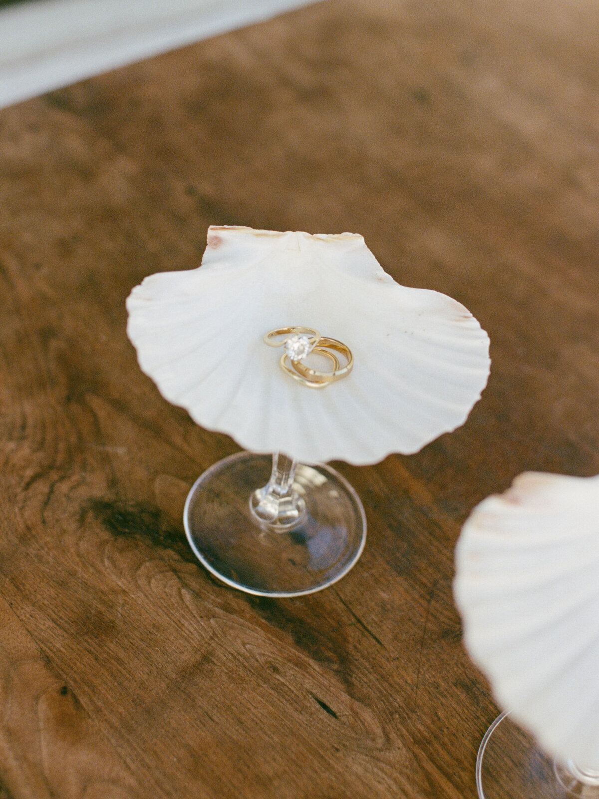 Jenny Losee Photography (44 of 438)