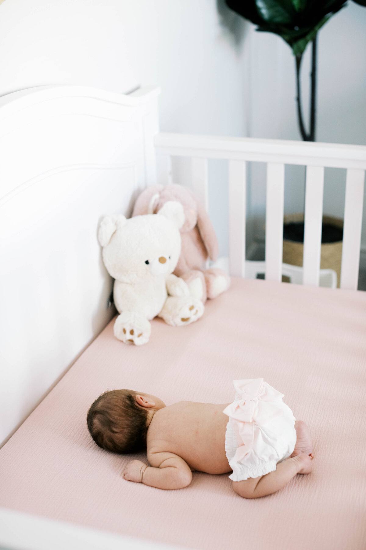 winston-salem-newborn-photographer45