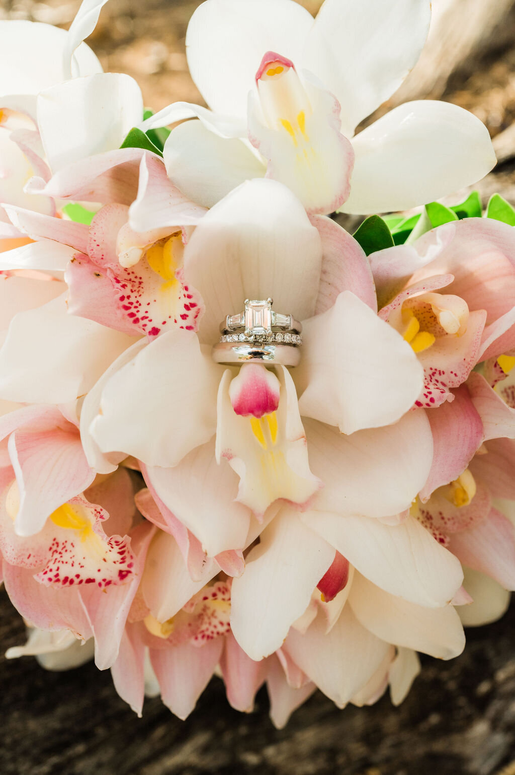 20220915-Poolenalena-MauiHawaii-Kimberly&Phill(119of225)