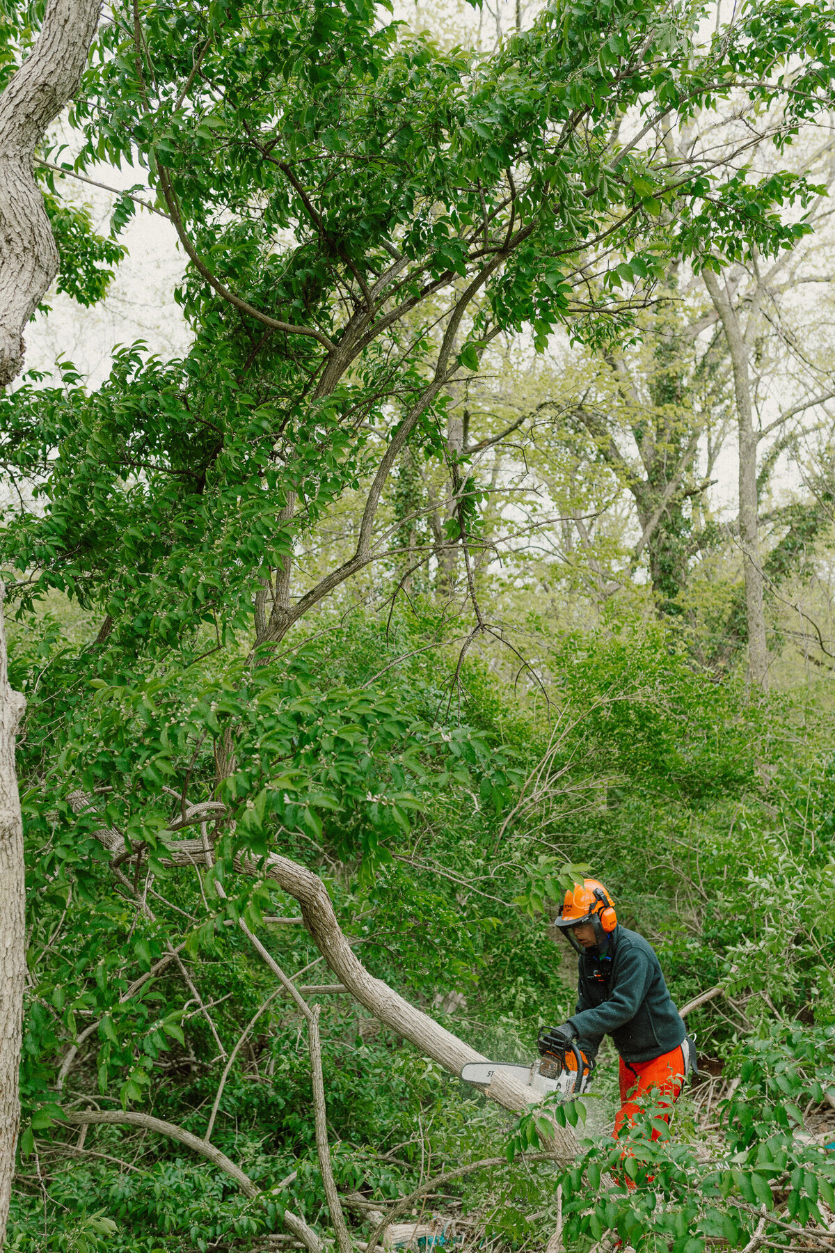 conservation-13