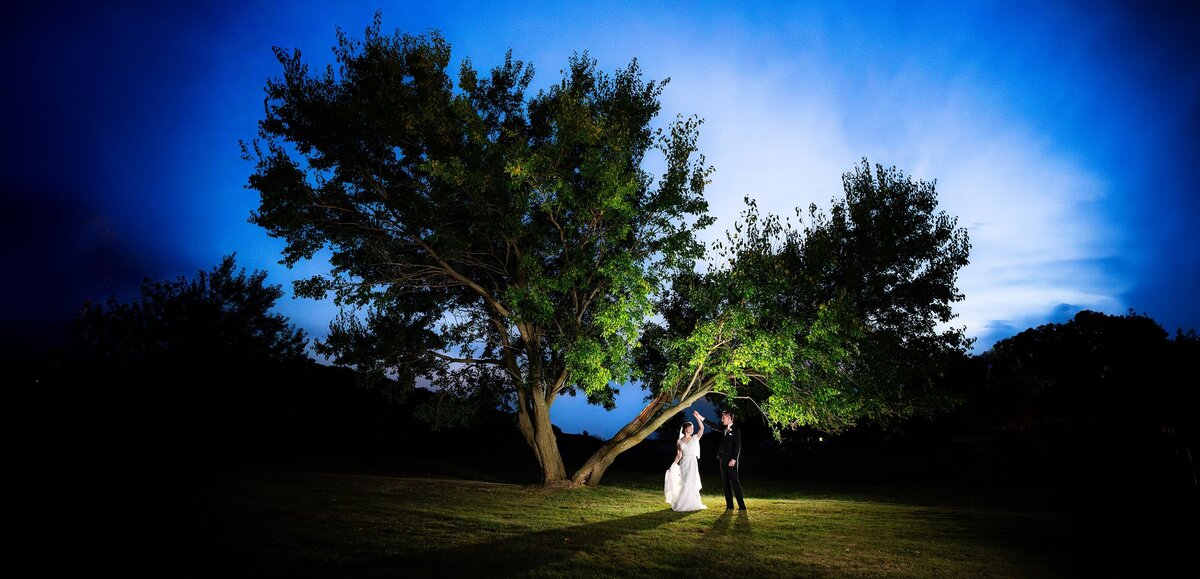 wedding couple dancing under a tree at dusk