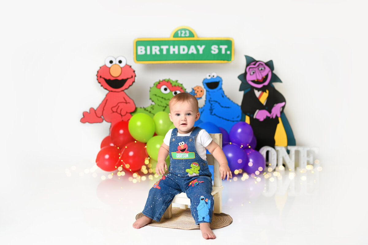 Sesame Street CakeSmash8