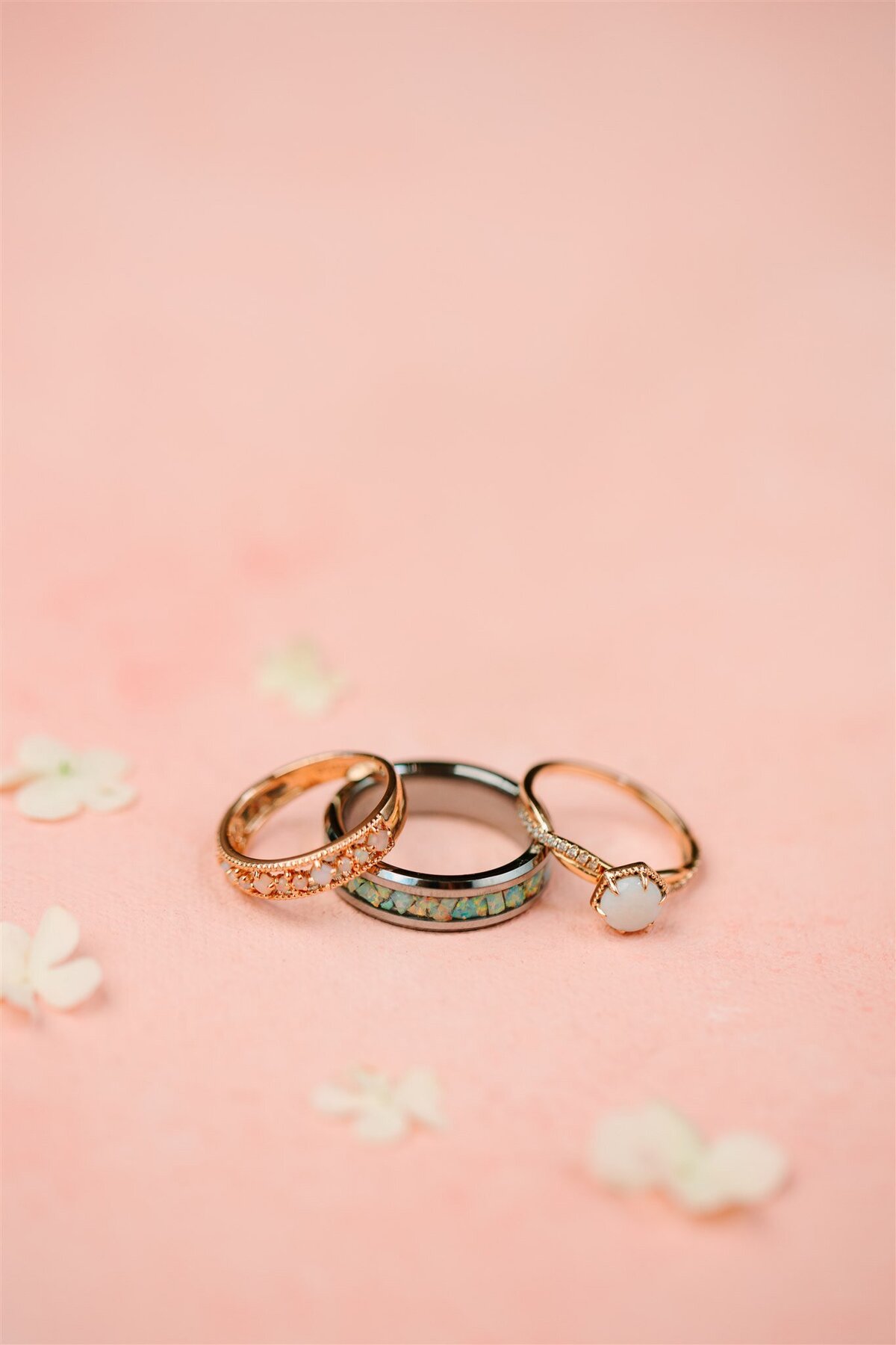 ANWed_0072