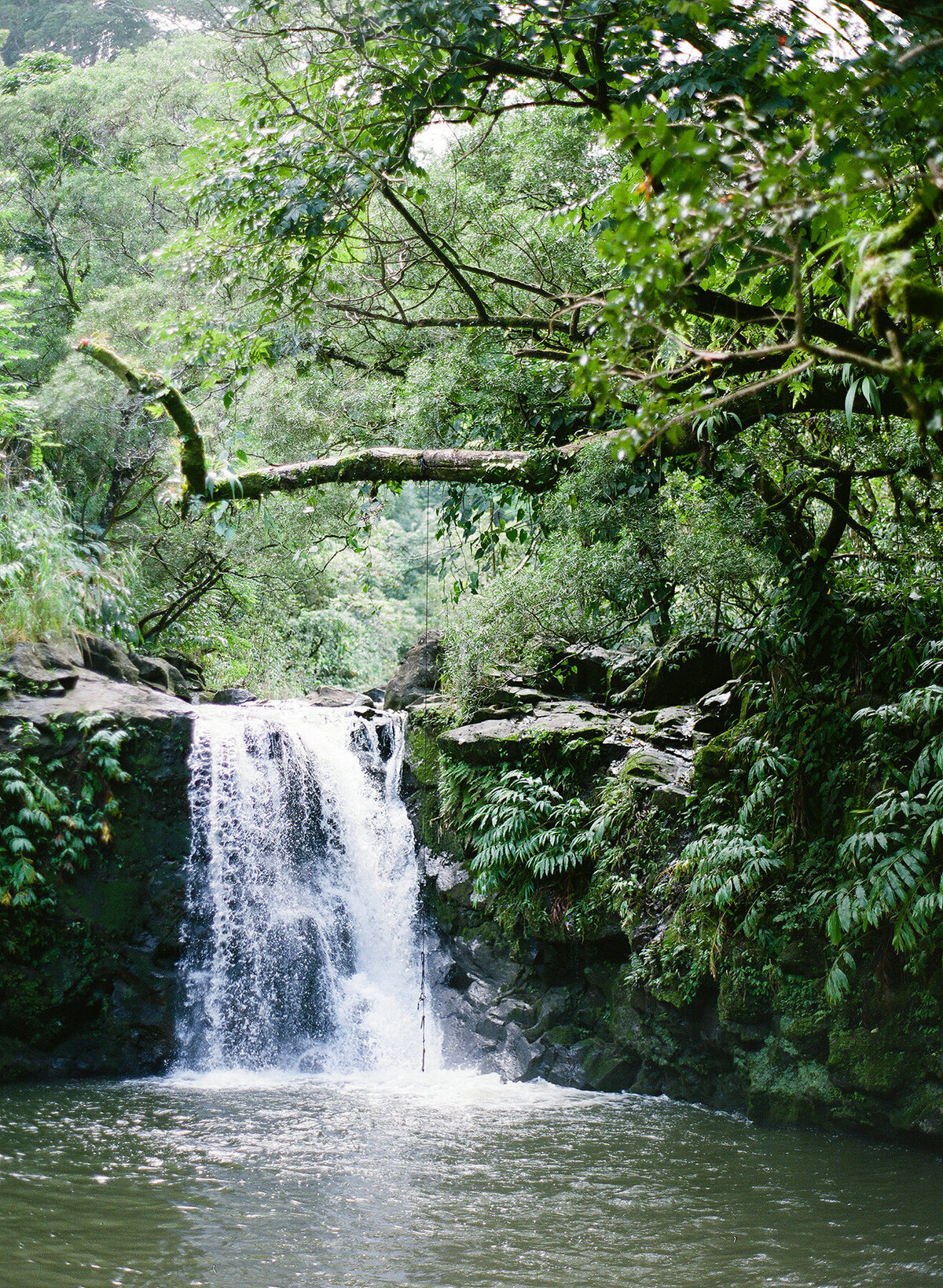 maui_waterfall
