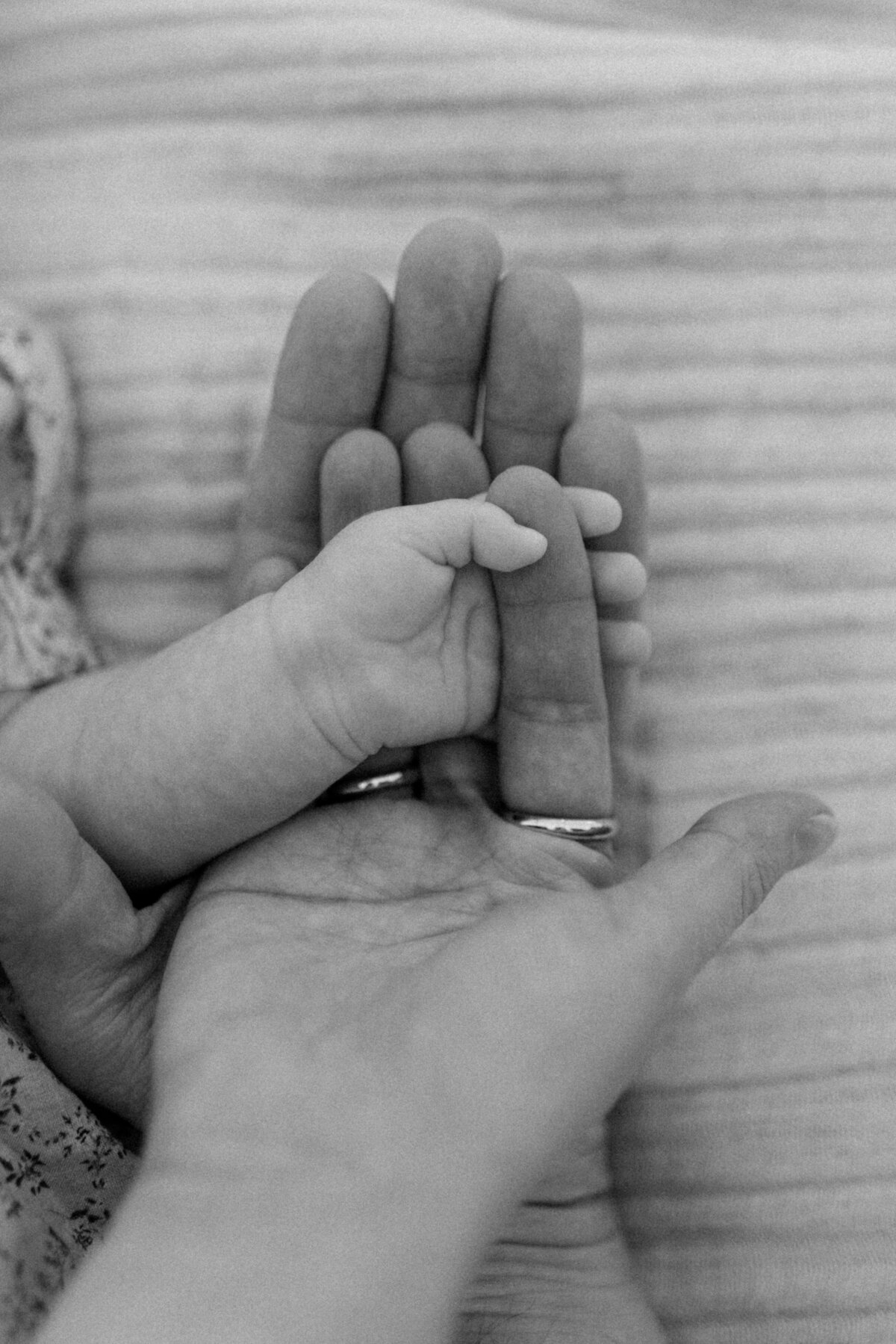 Harlow-Newborn-Tampa-Florida-PHOTOSWITHJILL-145