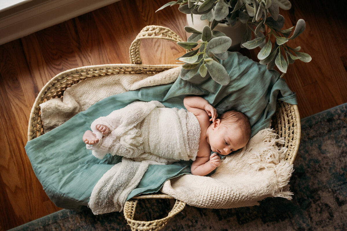 Proctor Lifestyle Newborn Session PRINT-23