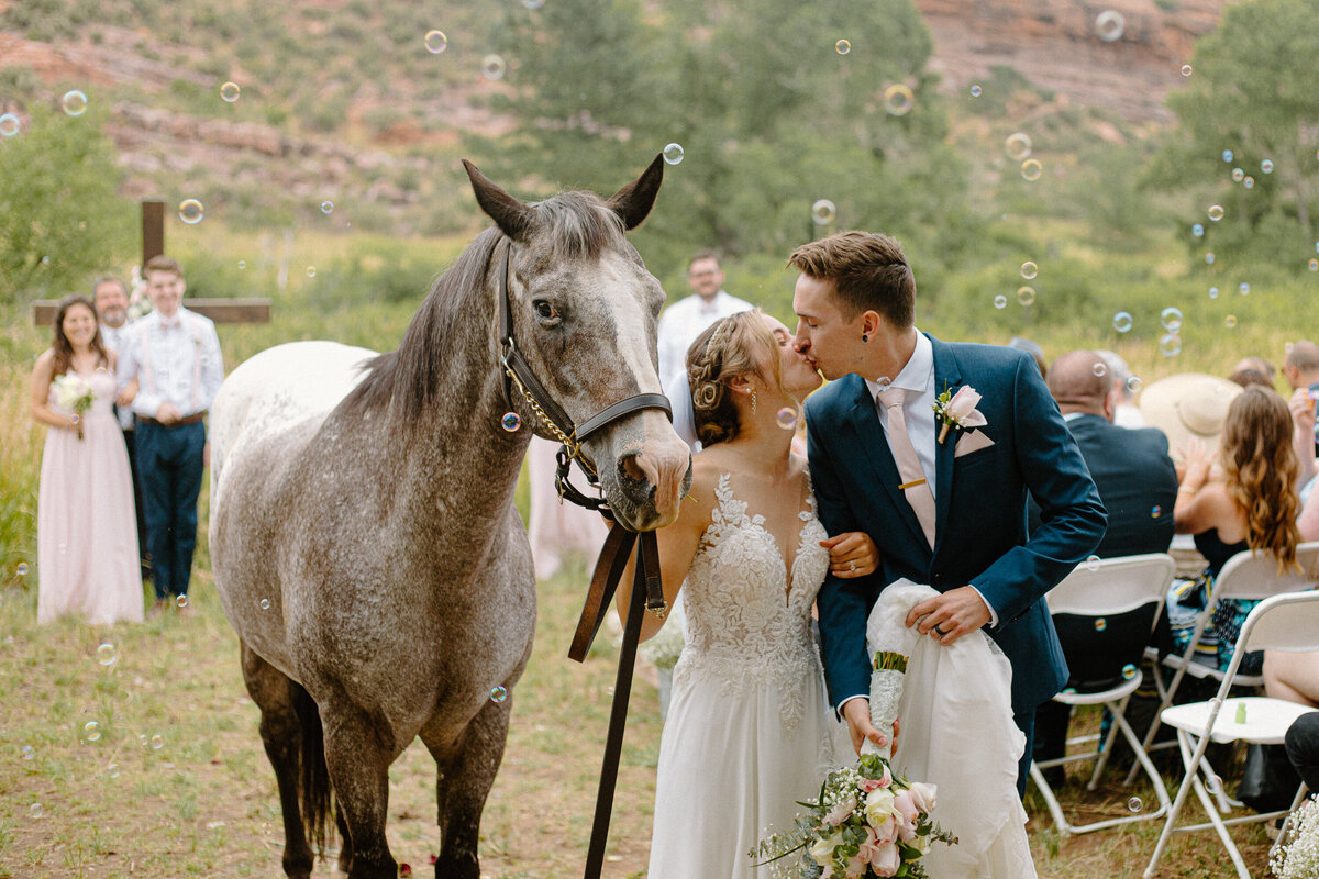 A bride and groom kiss after their wedding ceremony next to a horse in Lory State Park.