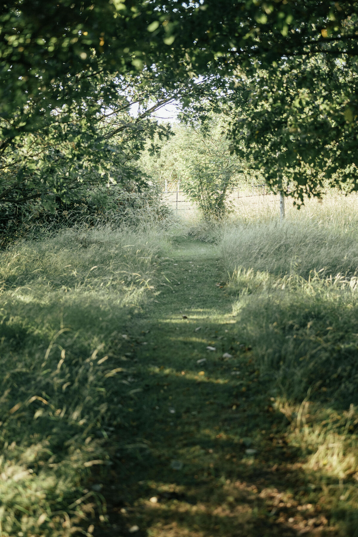 Eve_Will_Wedding_Highlights-5