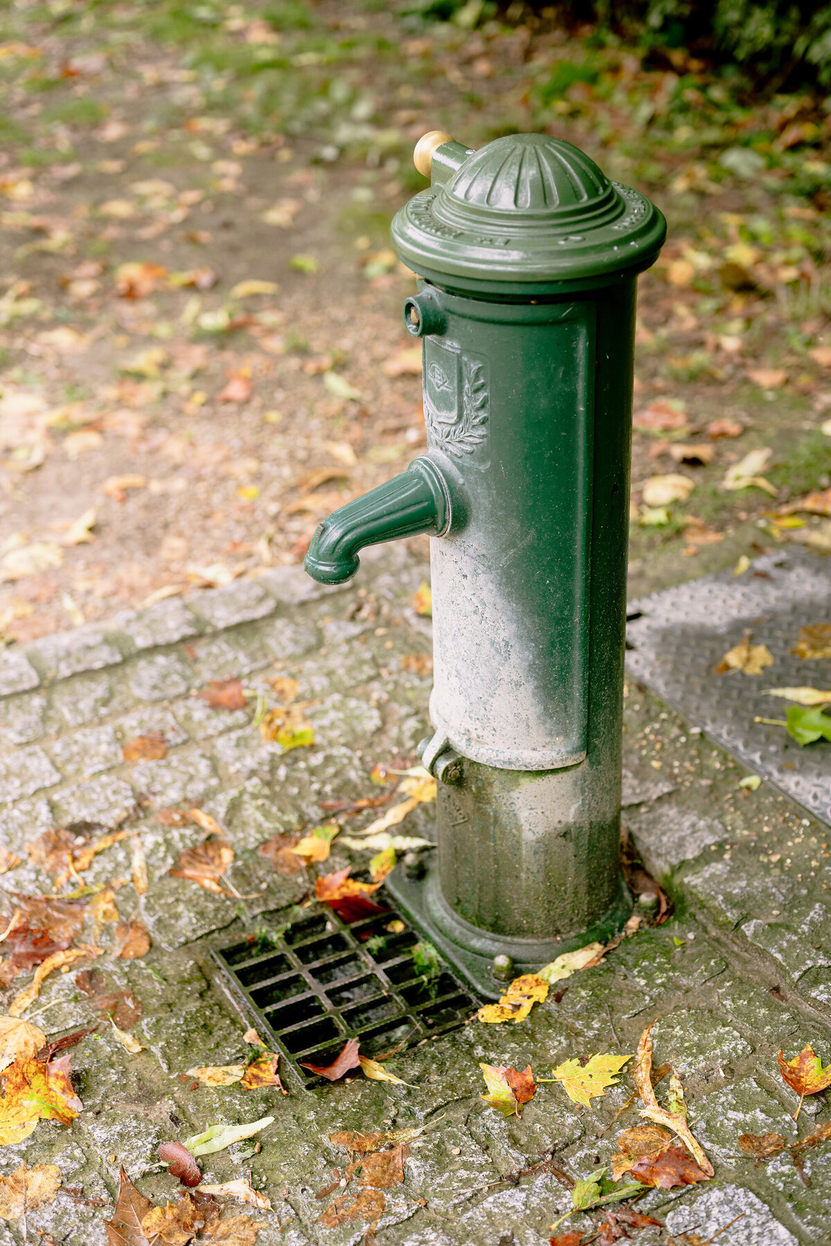 DSC_9125