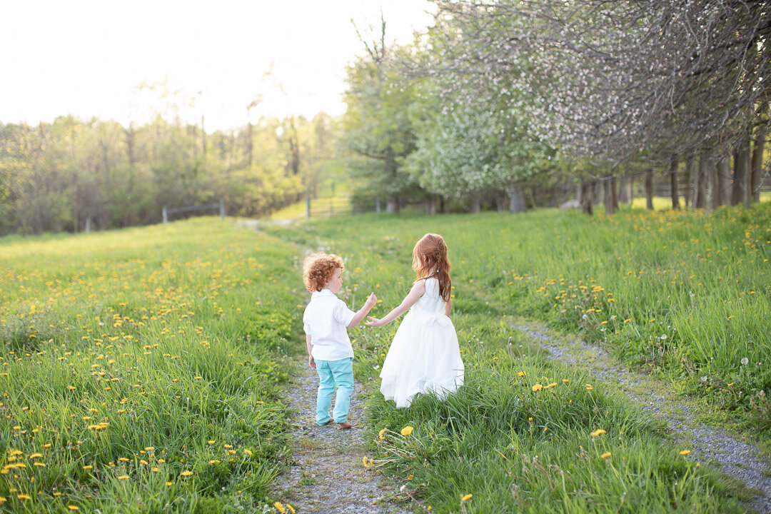 Syracuse New York Family Photographer; BLOOM by Blush Wood (40 of 50)