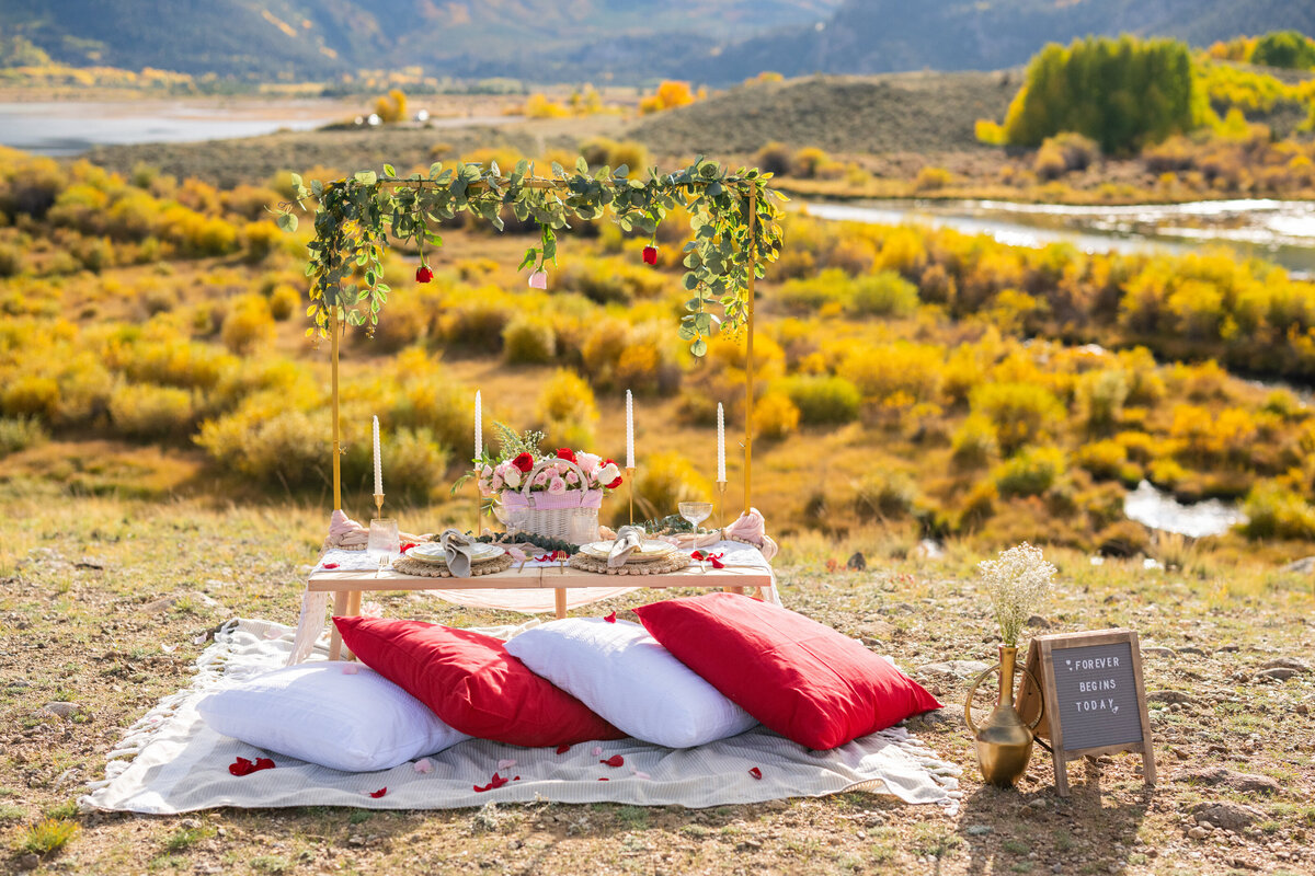 Swati and Anisha Proposal-6