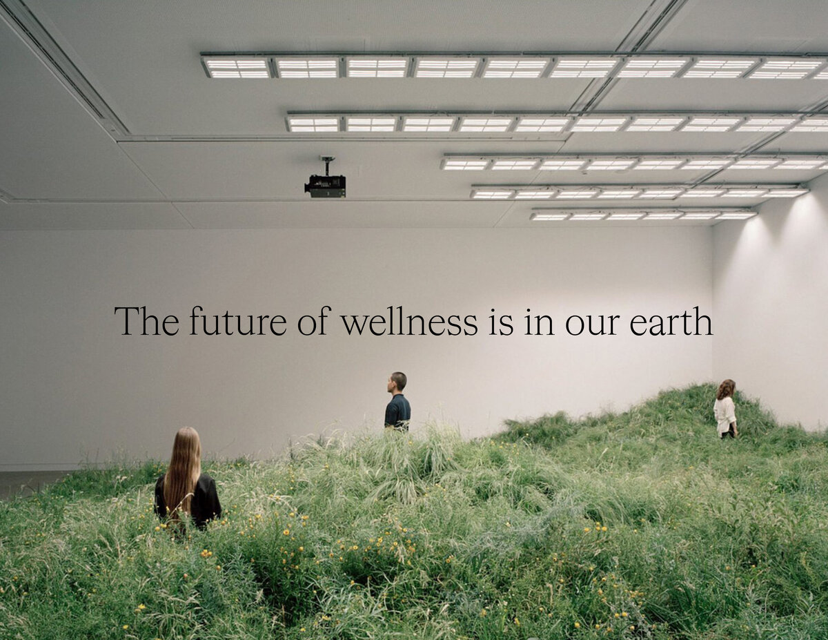 PsychedWellness_BrandGuidelines2