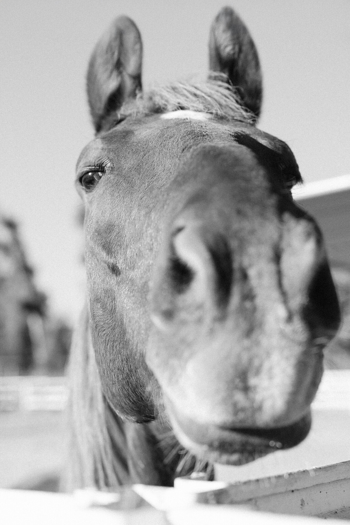 western-wedding-welcome-party-ranch-001