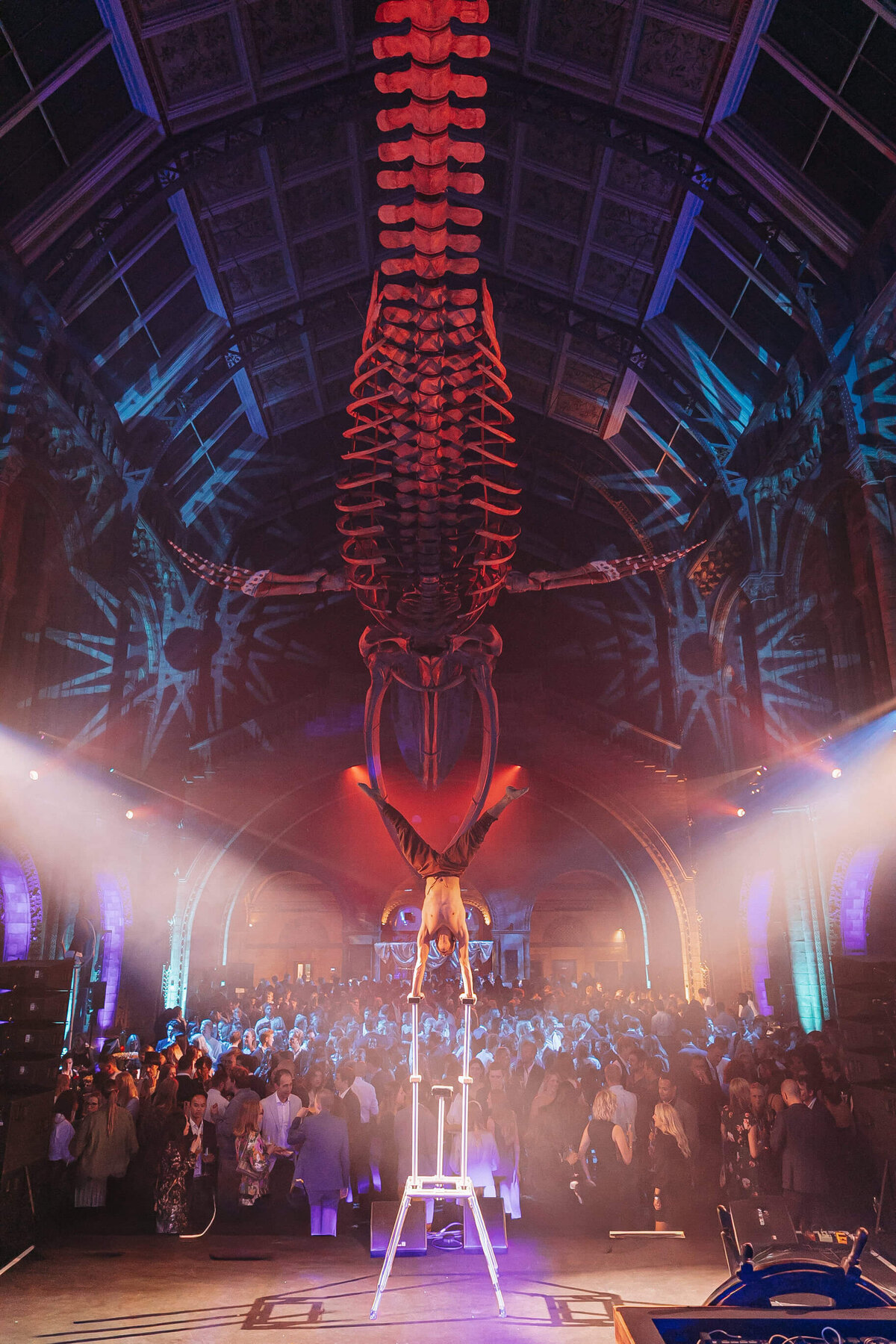 Bain, NHM, September 30, 2021, 142