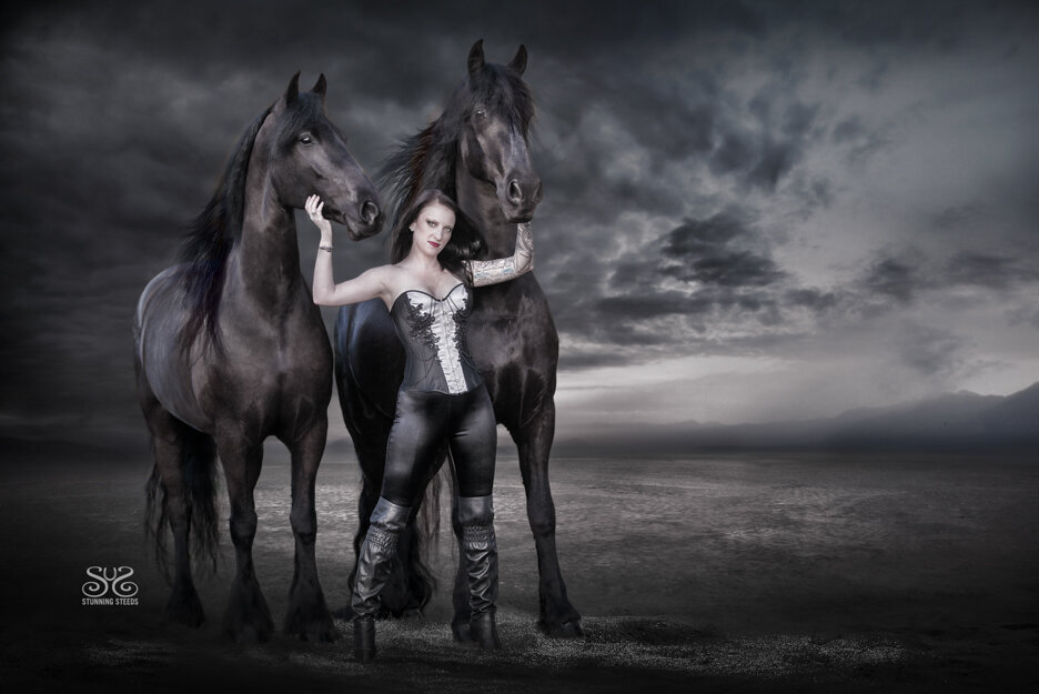 friesian horse fantasy photo shoot