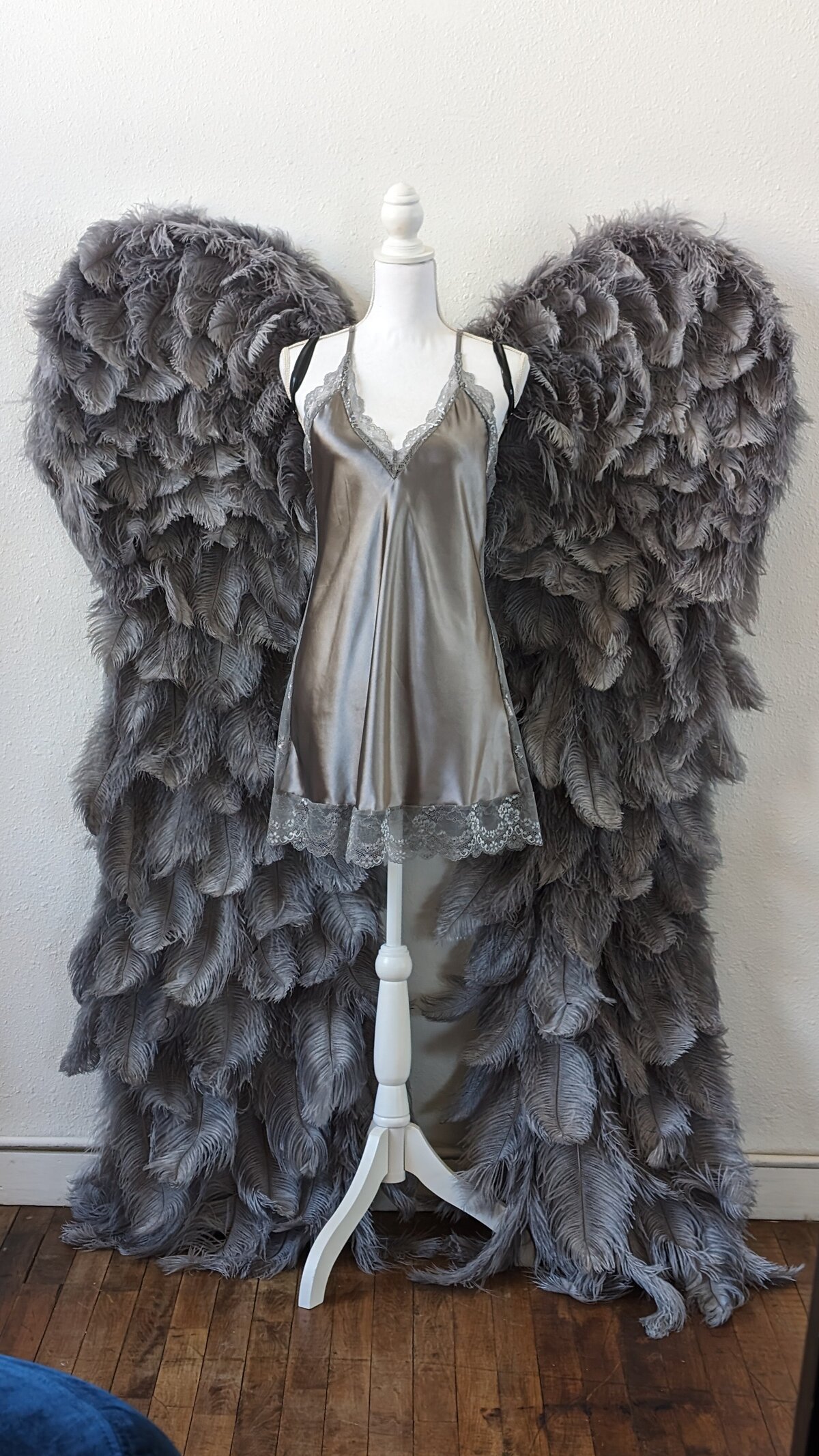 Gray Wings