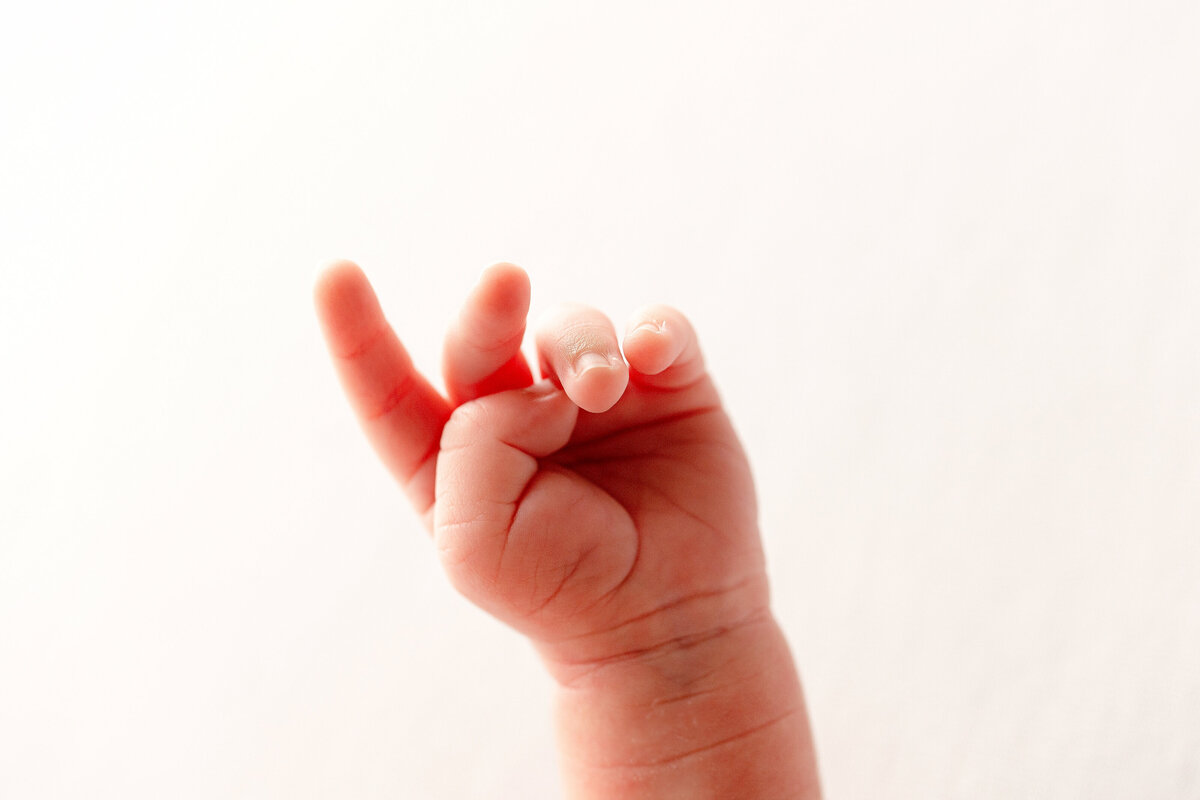 close up newborn hand, fingers, macro, fresno, clovis, california, one good shot photography