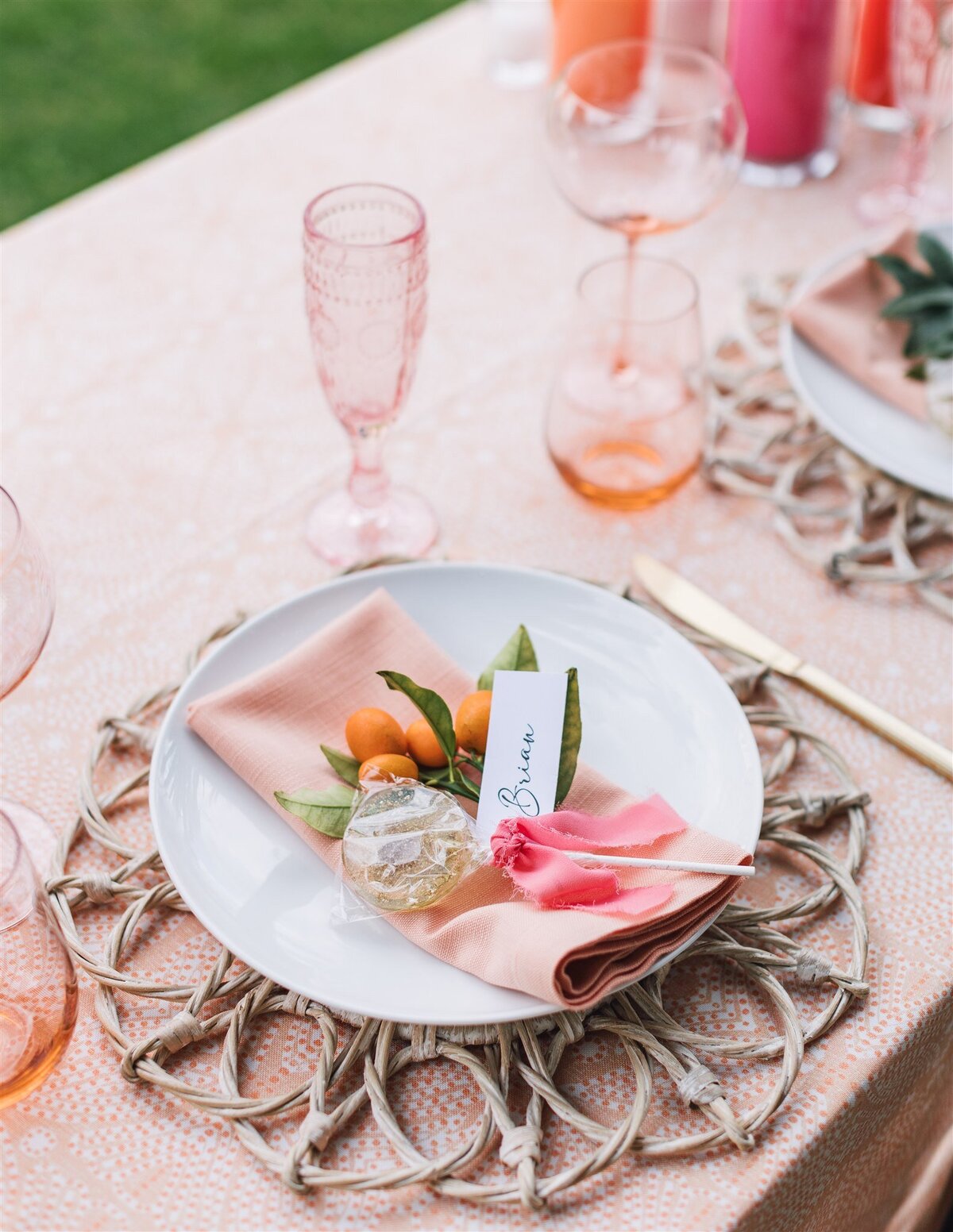 claire-brian-wedding-ashley-carlascio-photography-0240