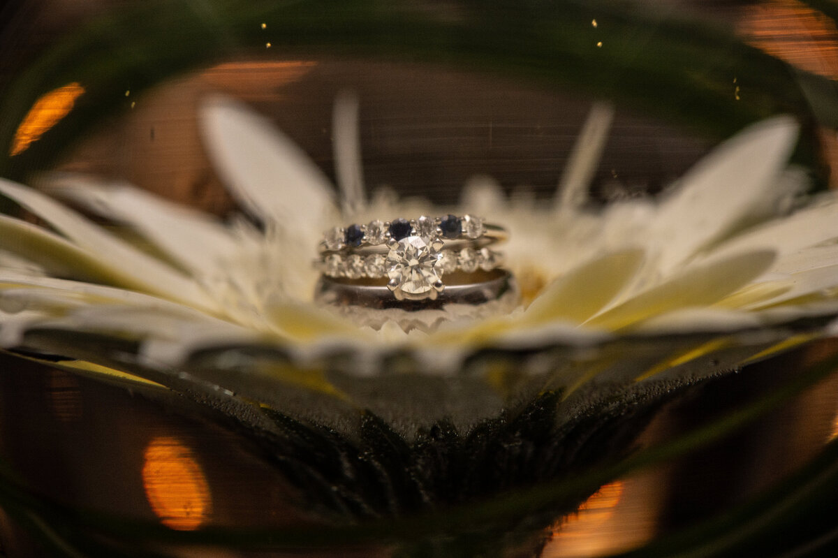 Boutique-Boston-Wedding-Photography-7