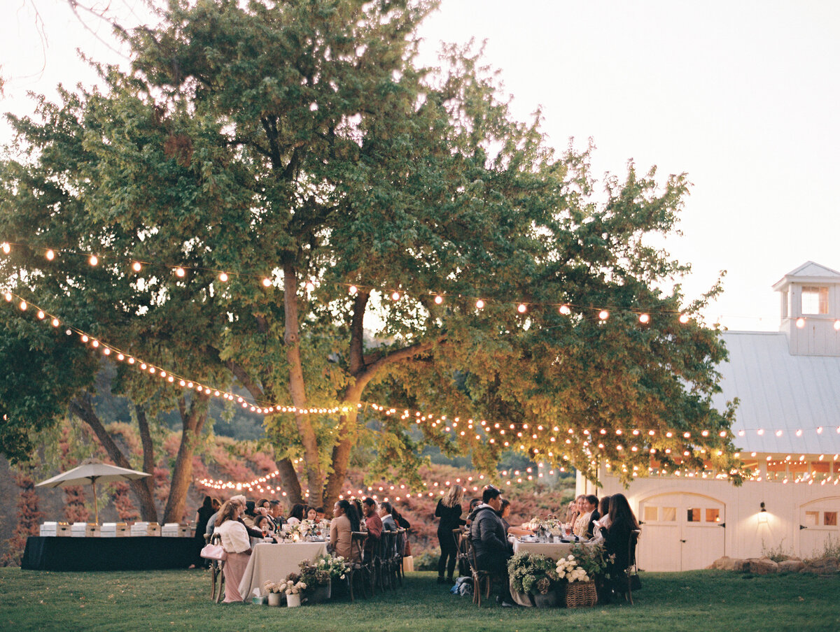 hammersky vineyard wedding-68
