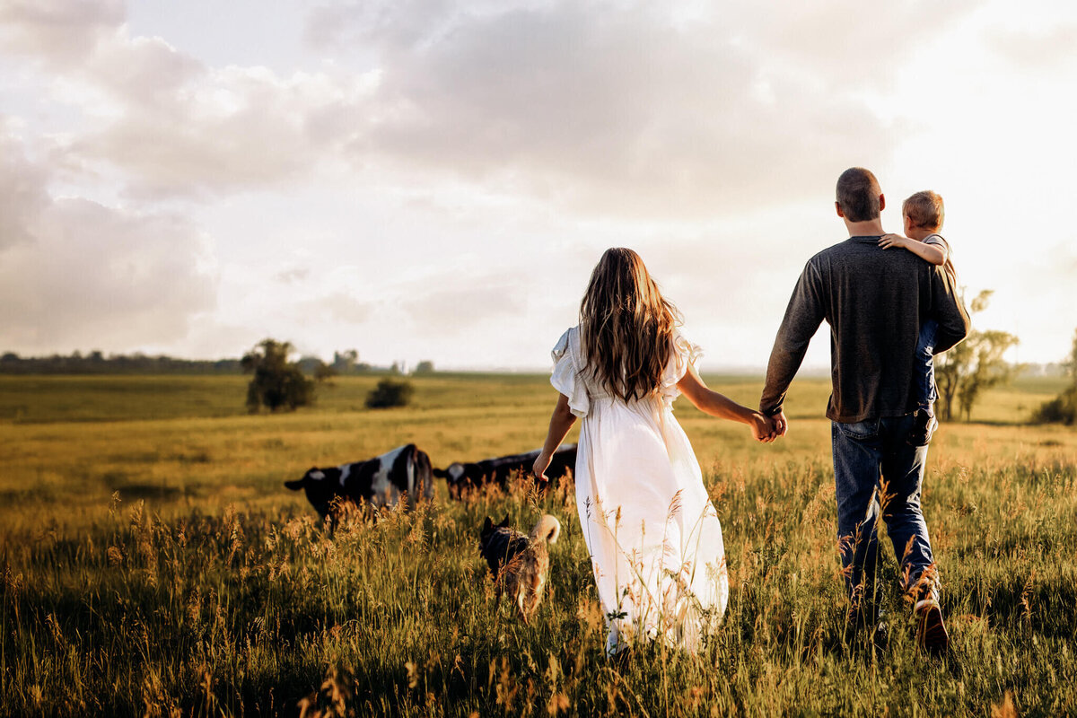 A woman in a white dress, a man holding a child, and their dog stroll hand-in-hand through a sunny field with cows grazing—an idyllic scene perfect for outdoor portraits by your Bloomington family photographer.