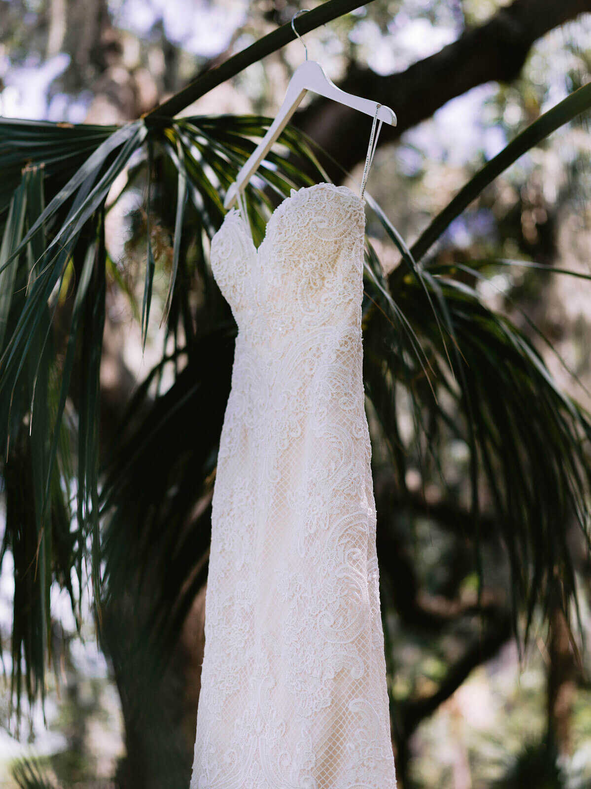 A beautiful wedding gown on a hanger, hung in a tree in Montage at Palmetto Bluff. Destination wedding image by Jenny Fu Studio
