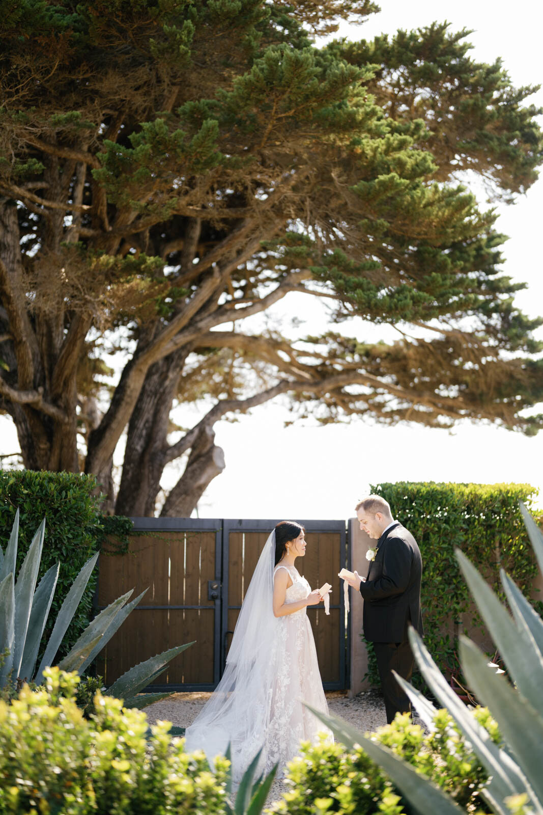 Michelle and Jordan Santa Barbara Wedding Website x1600 (29 of 63)