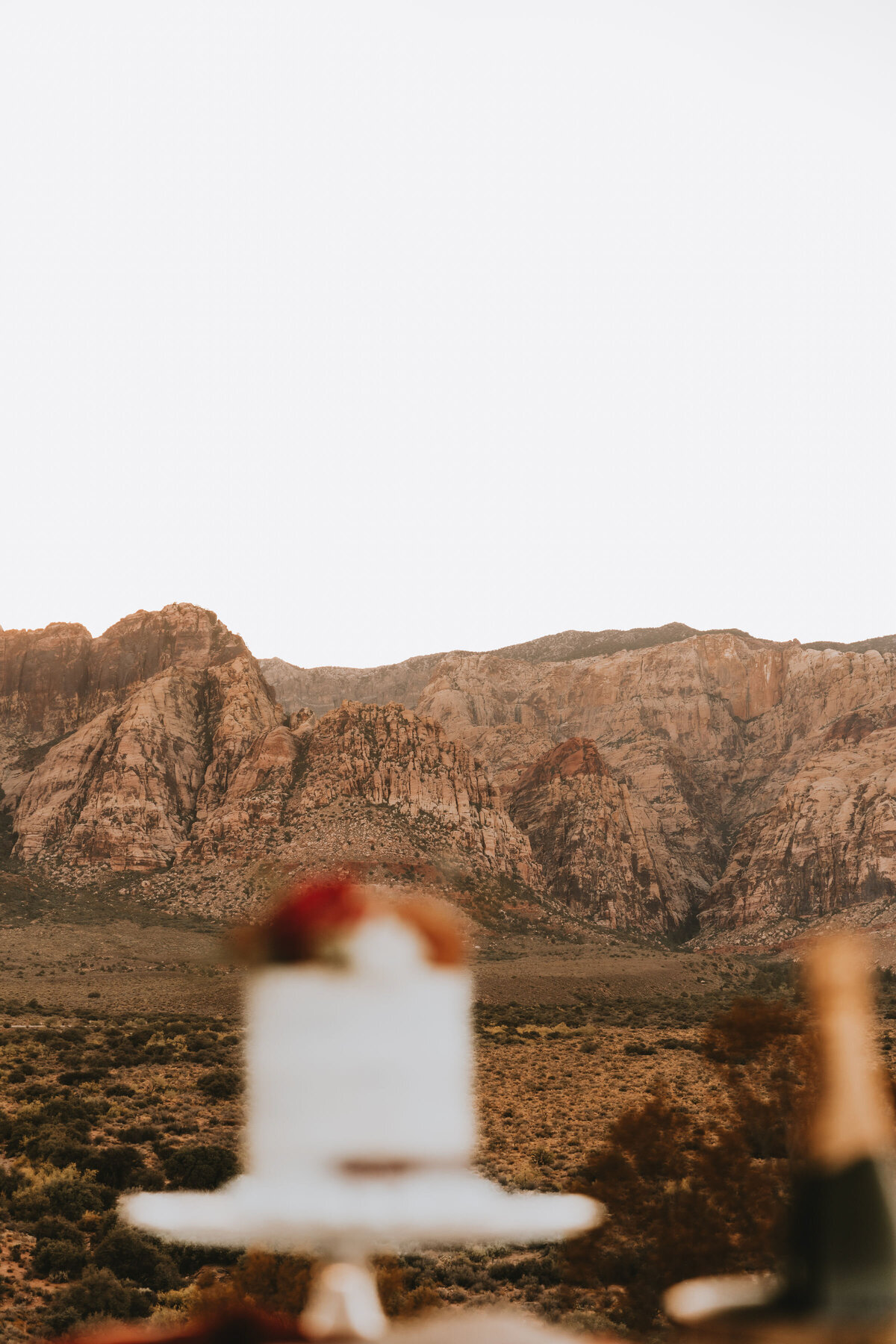 destination micro wedding photographer154
